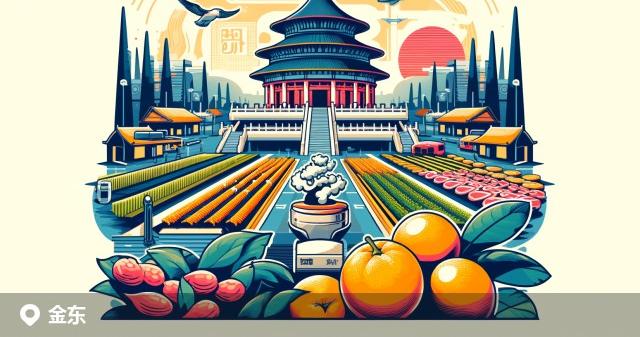 金东区